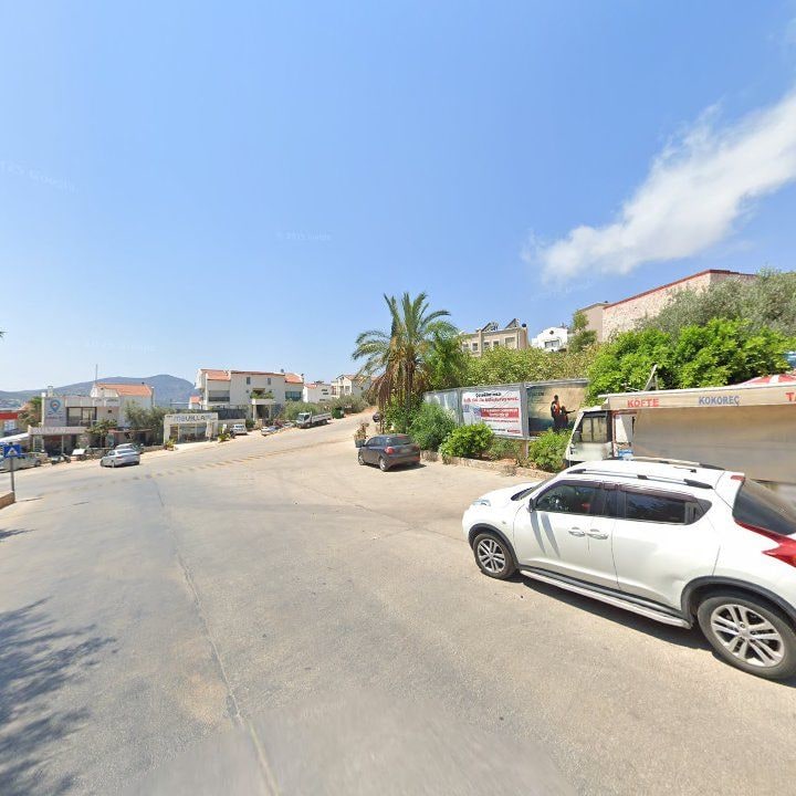 Fotoğraf 11
