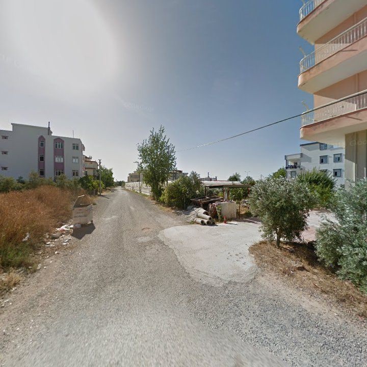 Fotoğraf 12