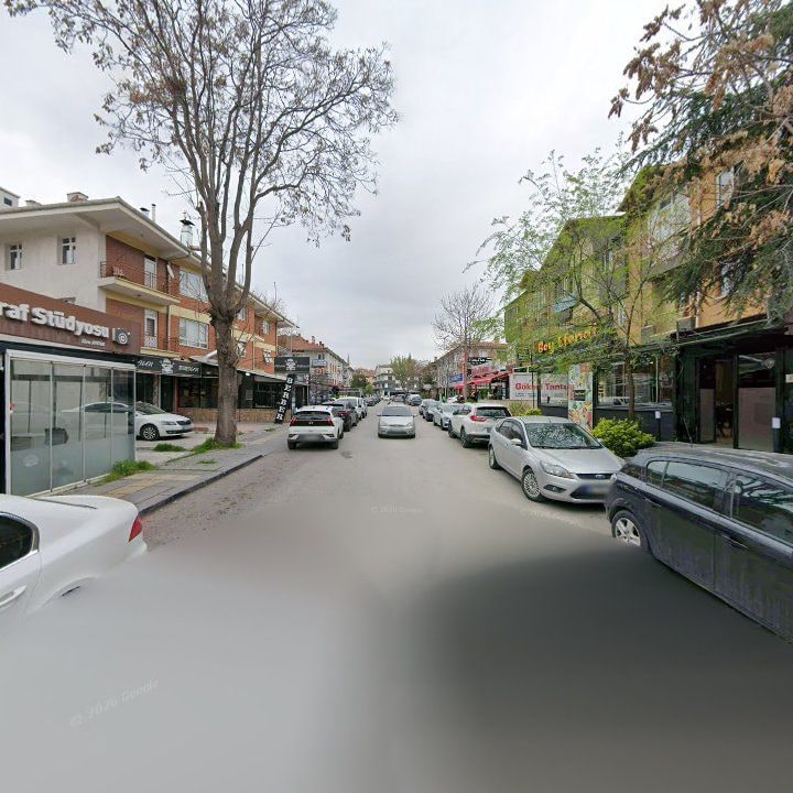 Fotoğraf 8