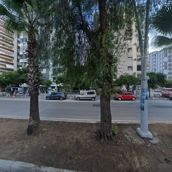 Fotoğraf 10