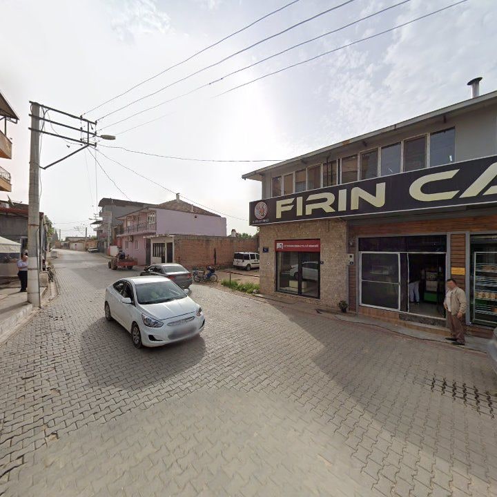 Fotoğraf 9