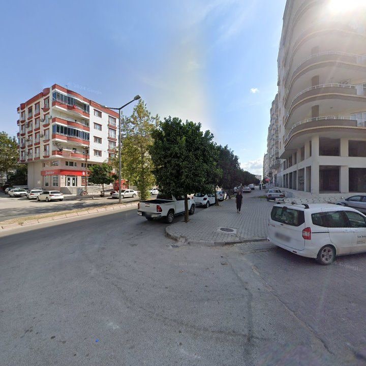 Fotoğraf 8
