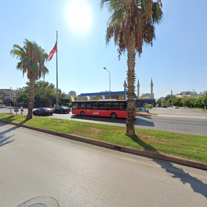 Fotoğraf 10