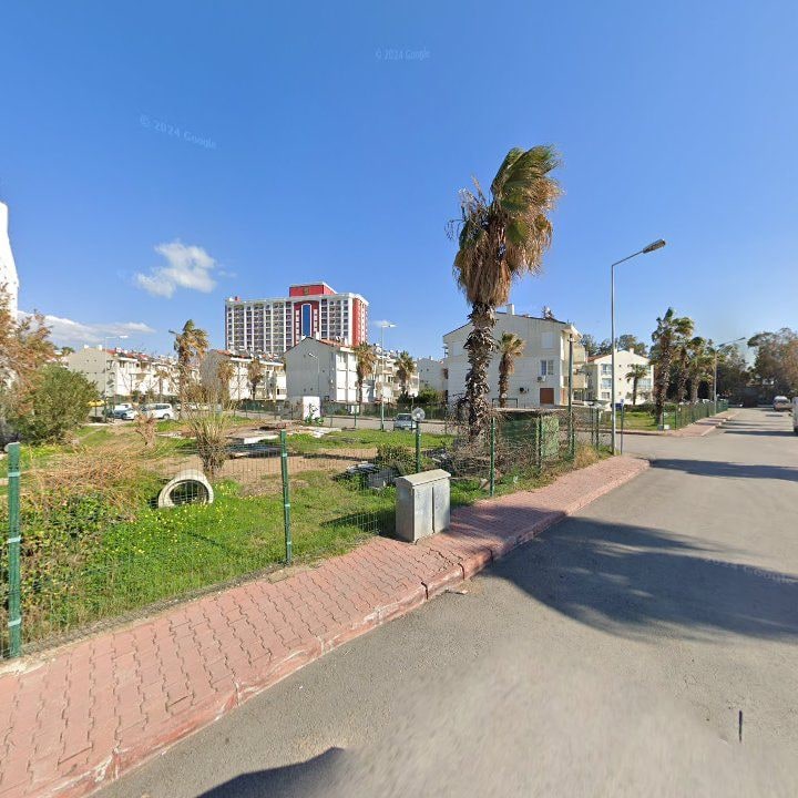 Fotoğraf 9