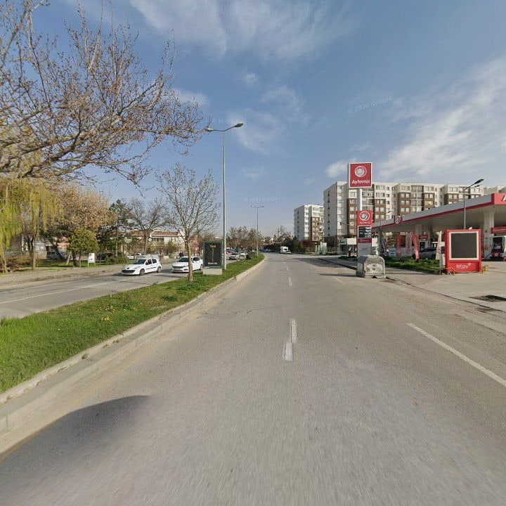 Fotoğraf 13