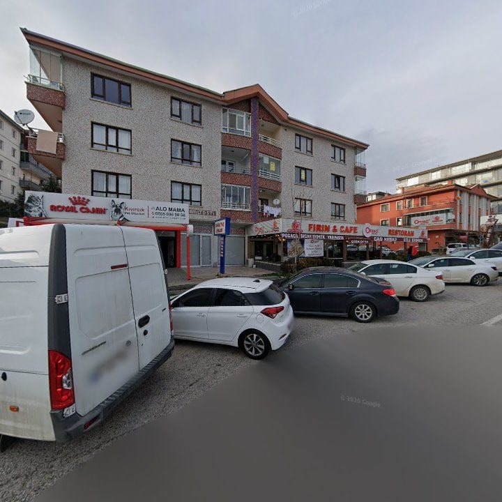 Fotoğraf 3