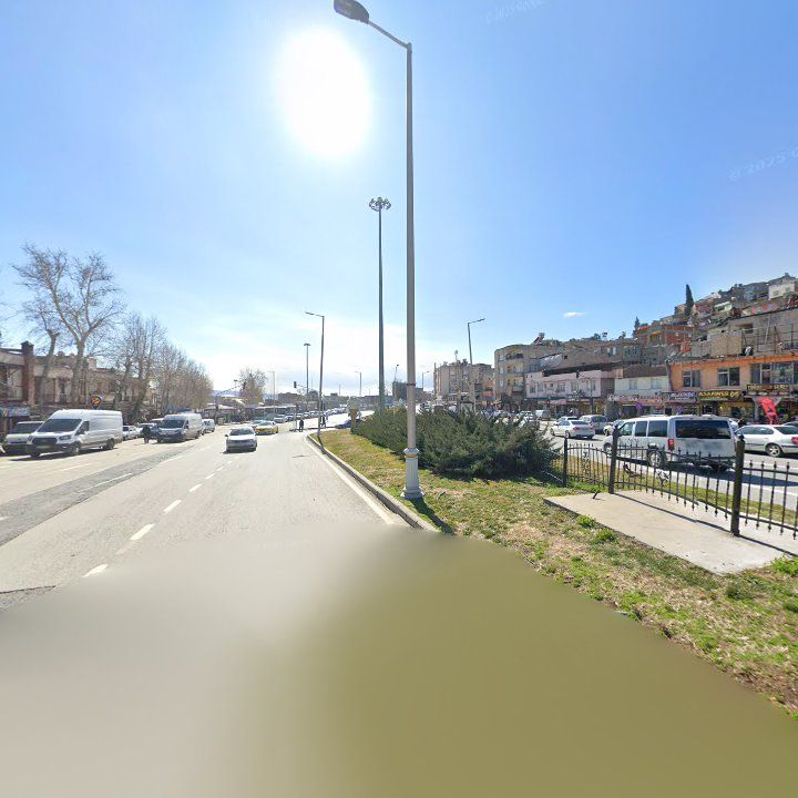 Fotoğraf 7
