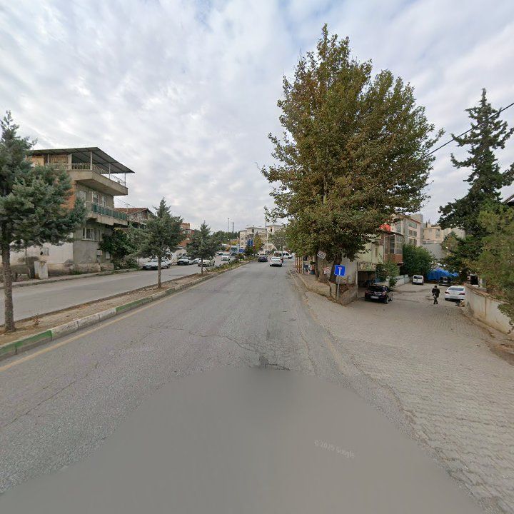 Fotoğraf 7