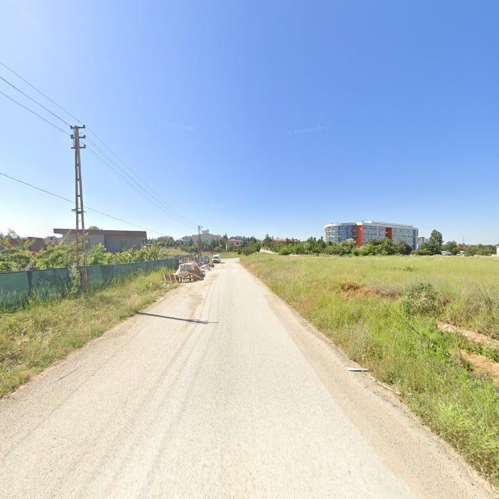 Fotoğraf 2