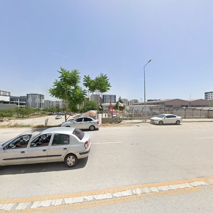 Fotoğraf 7