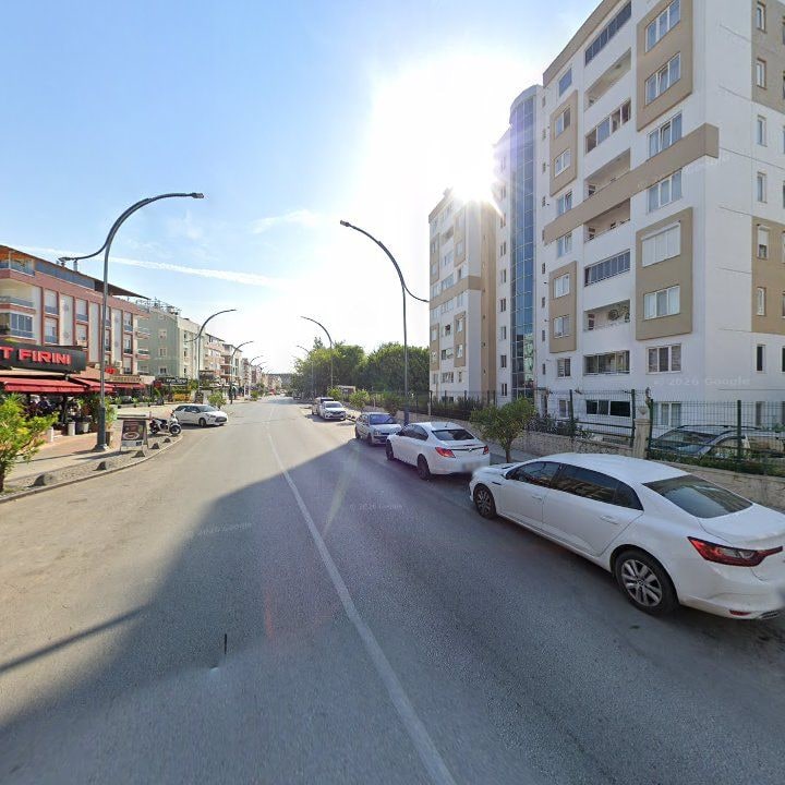 Fotoğraf 8