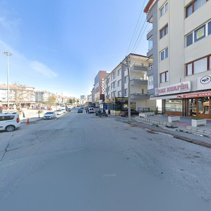 Fotoğraf 8