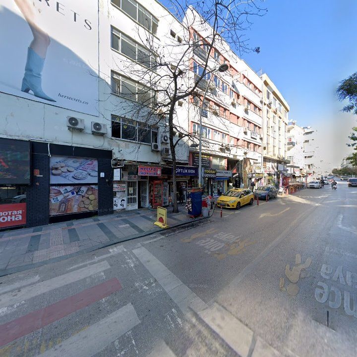 Fotoğraf 8