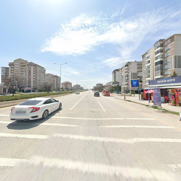 Fotoğraf 12