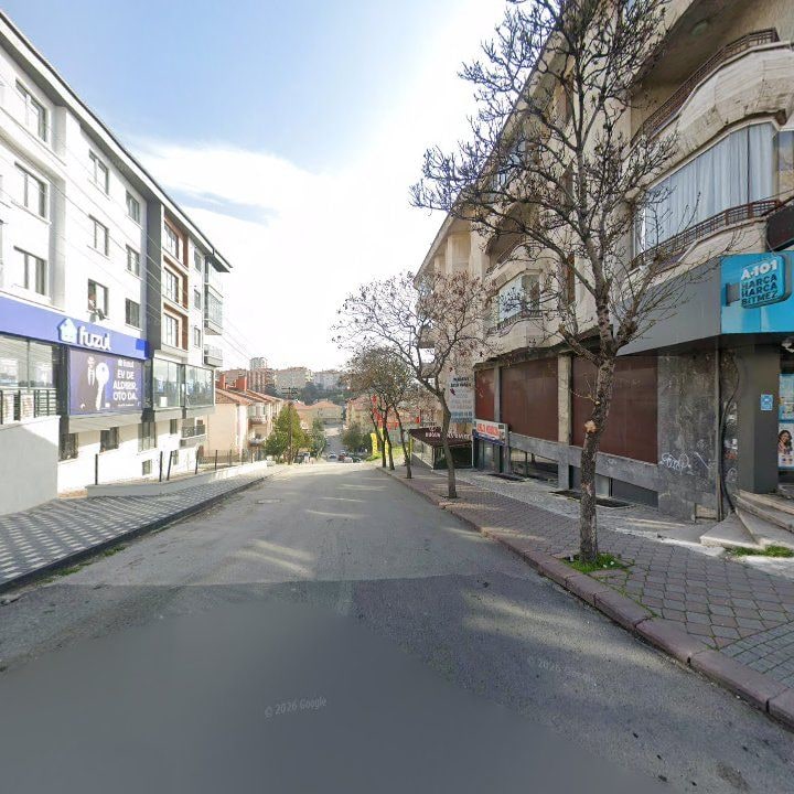 Fotoğraf 11