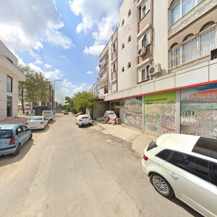 Fotoğraf 8