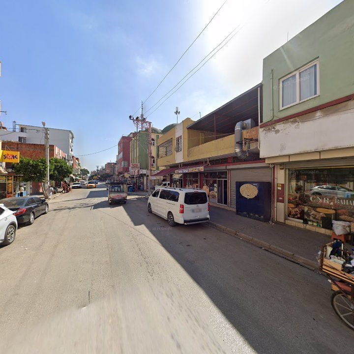Fotoğraf 8
