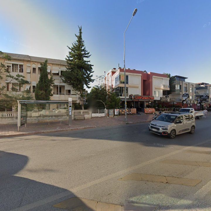 Fotoğraf 9