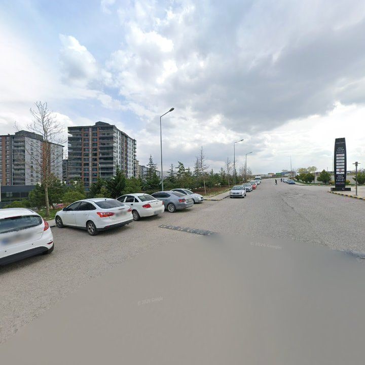 Fotoğraf 12