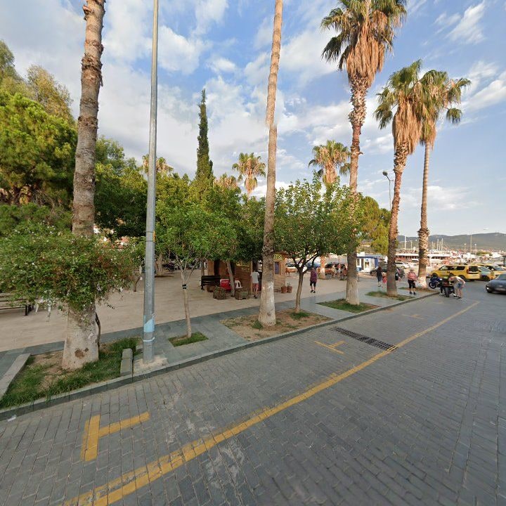 Fotoğraf 13