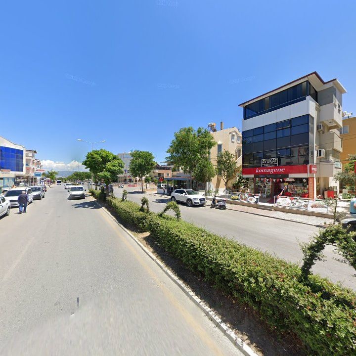 Fotoğraf 8