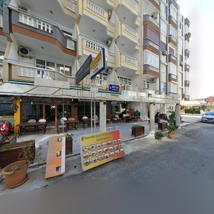 Fotoğraf 9