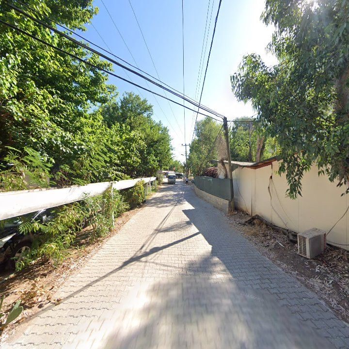 Fotoğraf 12
