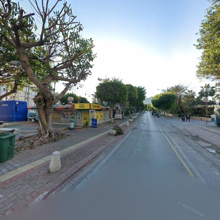Fotoğraf 8