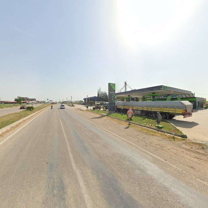 Fotoğraf 6