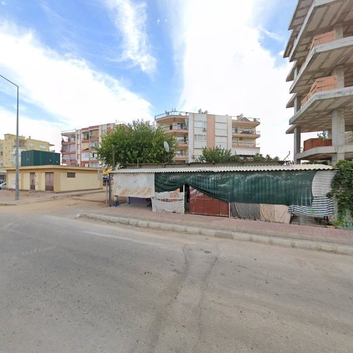 Fotoğraf 5