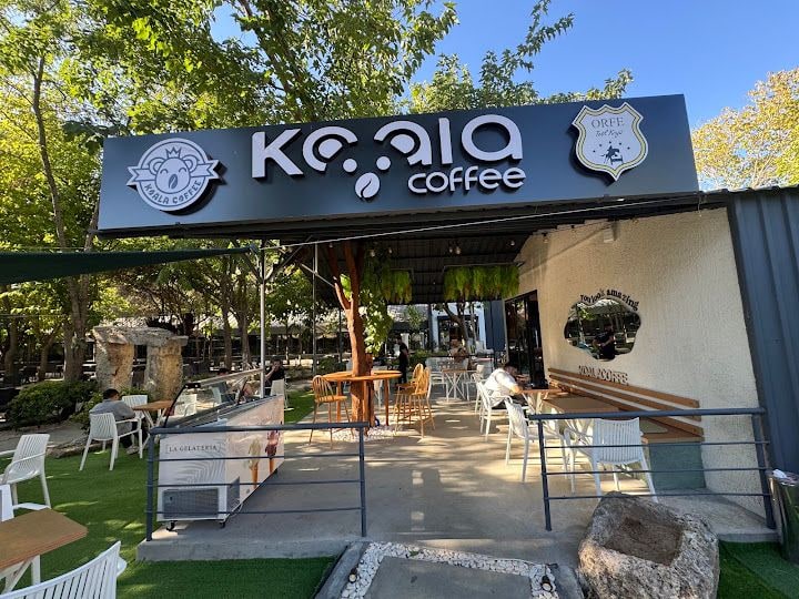 Orfe Koala Coffe