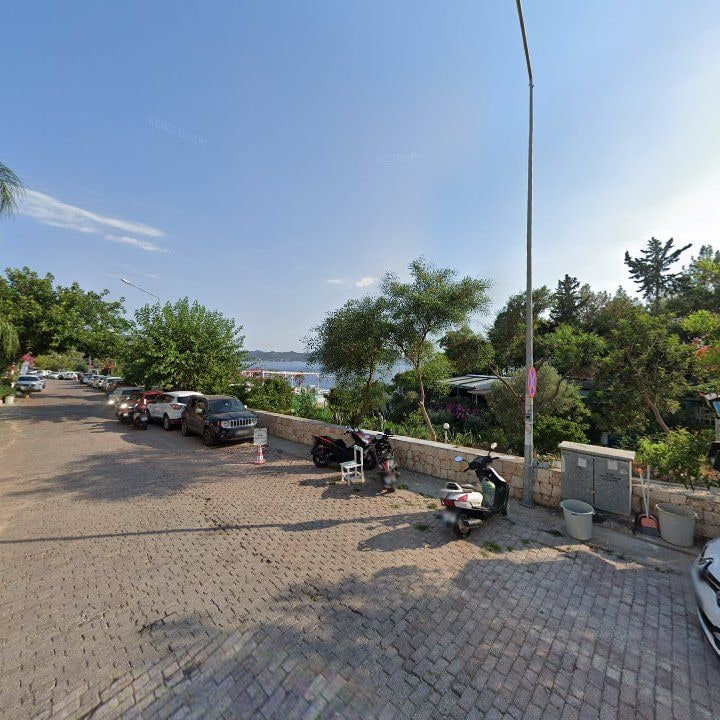 Fotoğraf 10