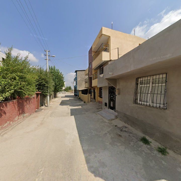 Fotoğraf 7