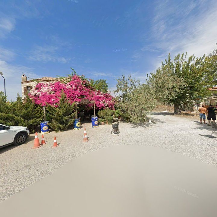 Fotoğraf 11