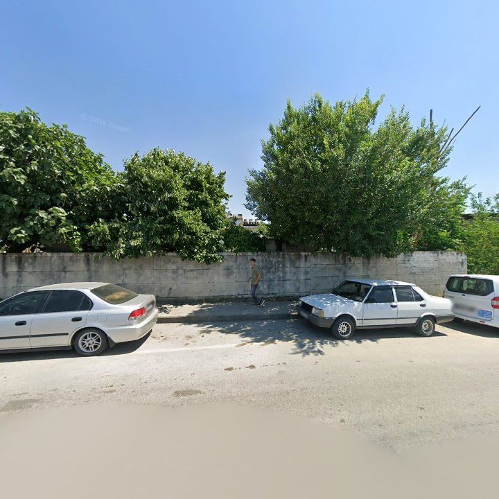 Fotoğraf 7