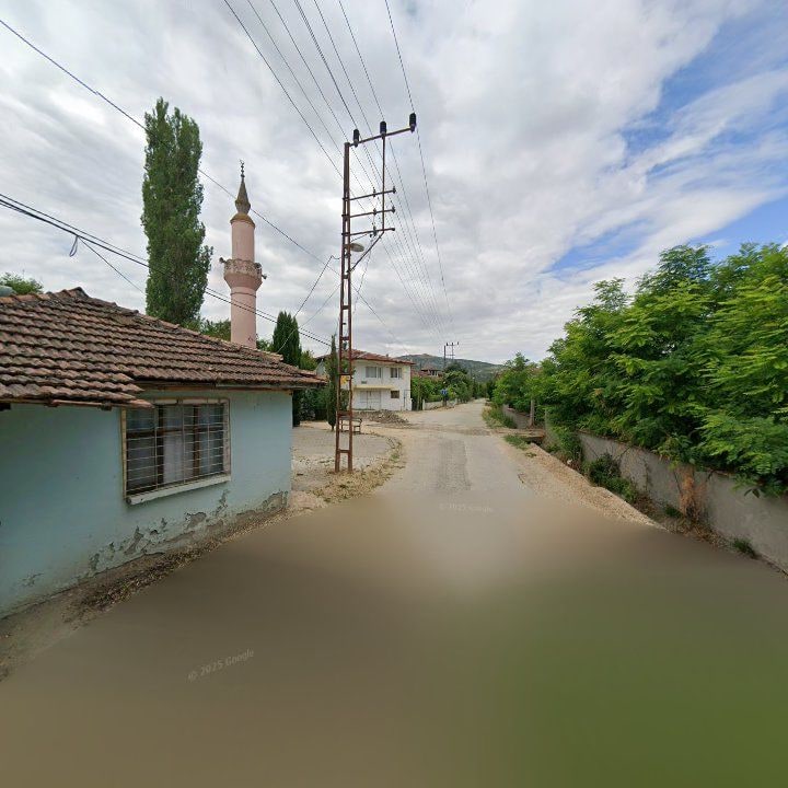 Fotoğraf 3