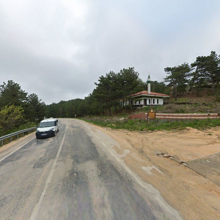 Fotoğraf 9