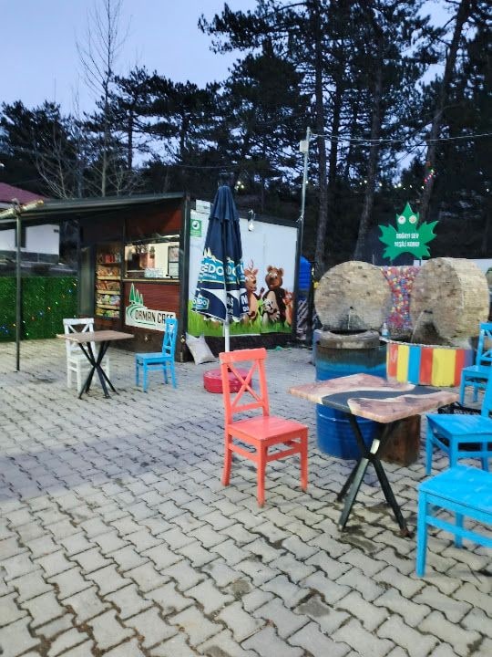Fotoğraf 4