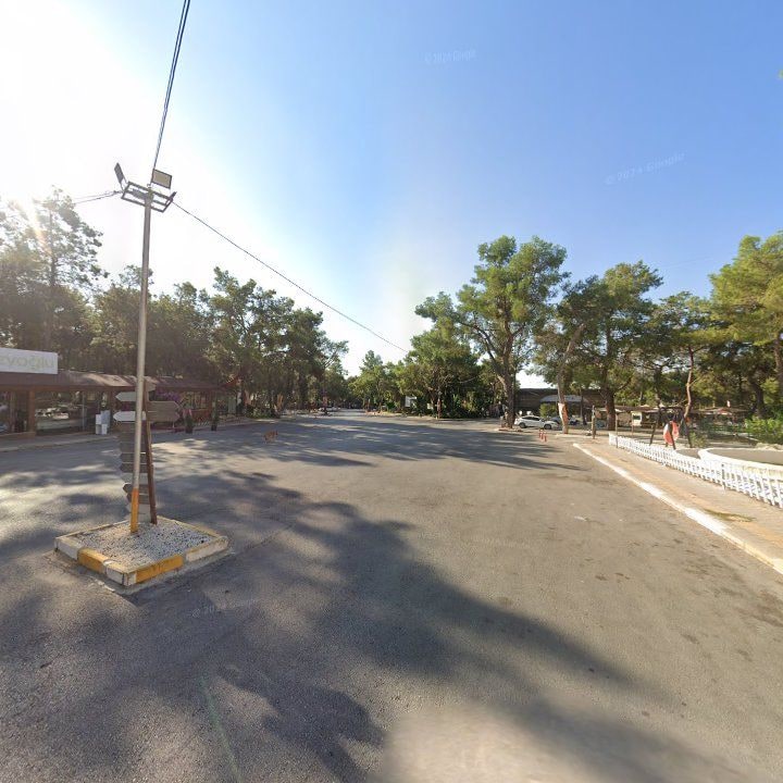 Fotoğraf 11