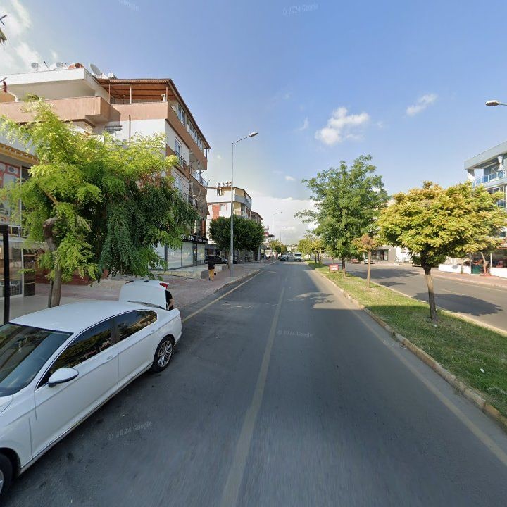 Fotoğraf 3