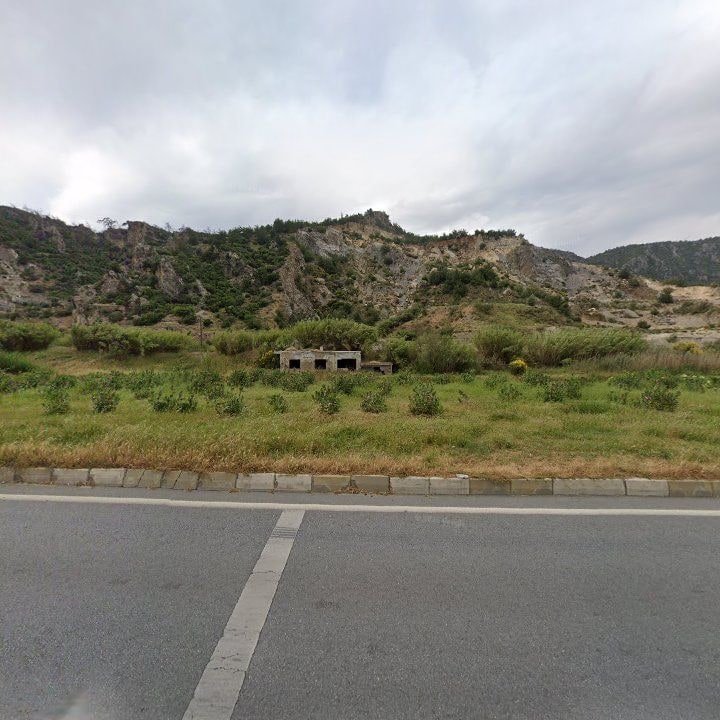 Fotoğraf 10