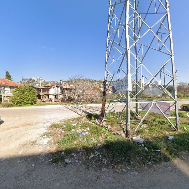 Fotoğraf 8