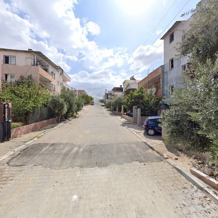 Fotoğraf 6