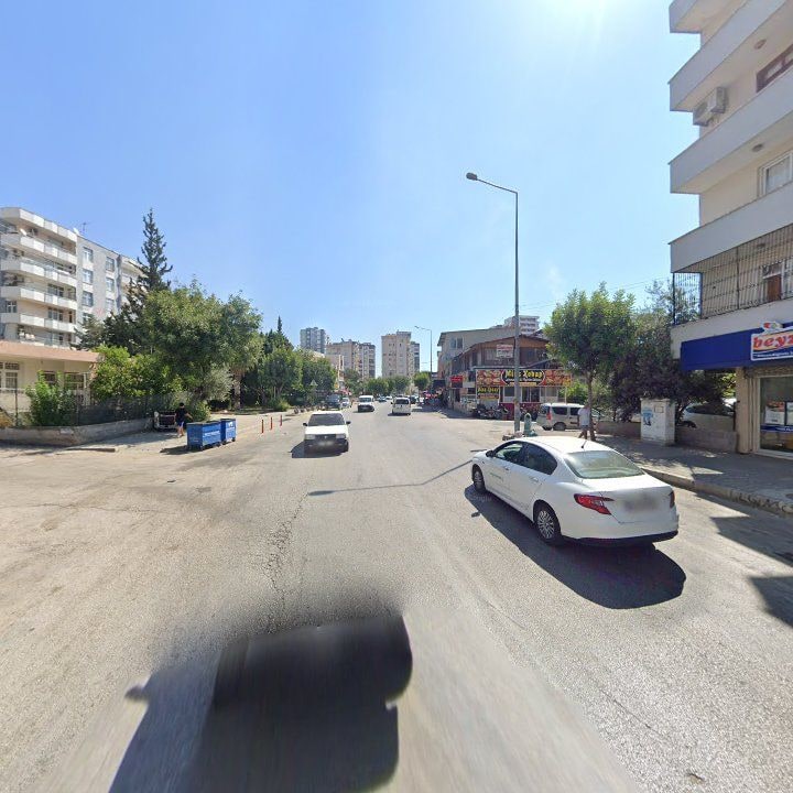 Fotoğraf 8