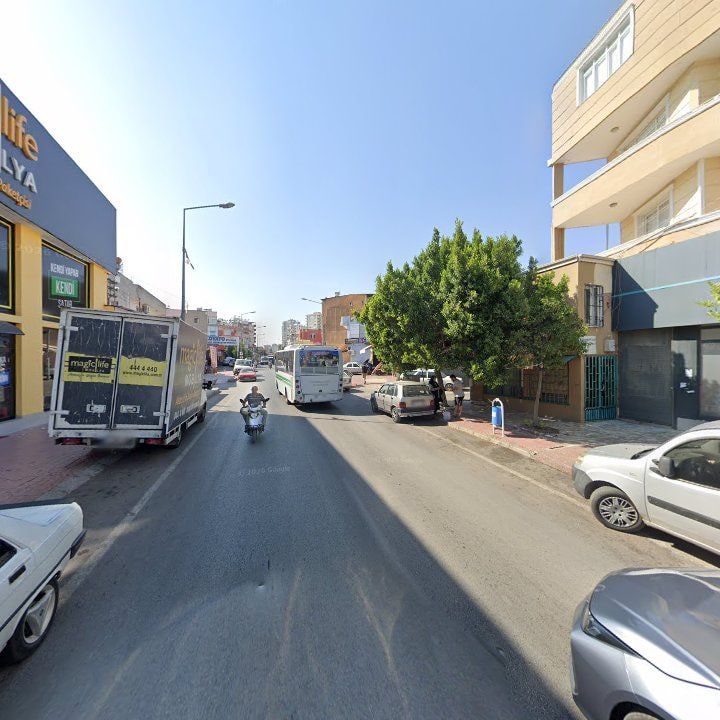 Fotoğraf 9