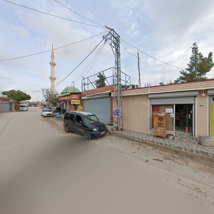 Fotoğraf 5