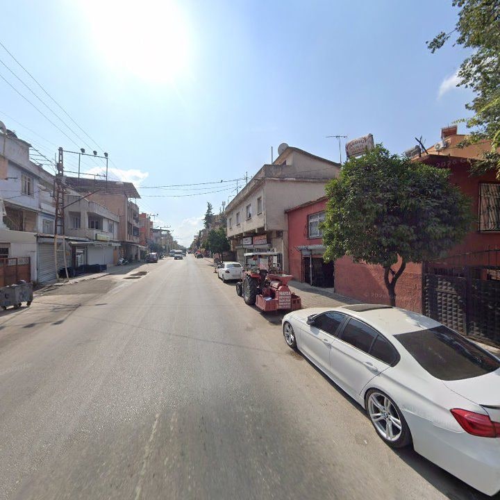 Fotoğraf 8