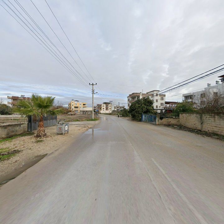 Fotoğraf 6