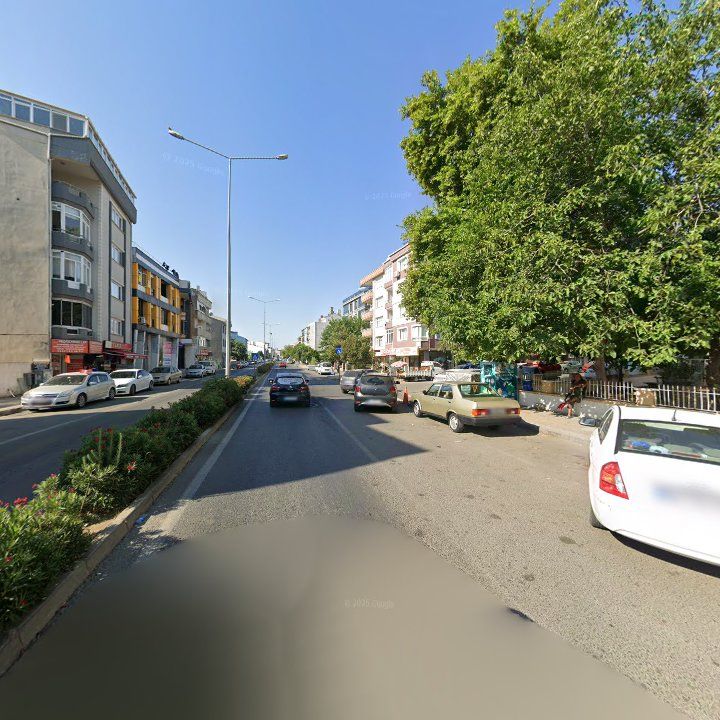 Fotoğraf 8