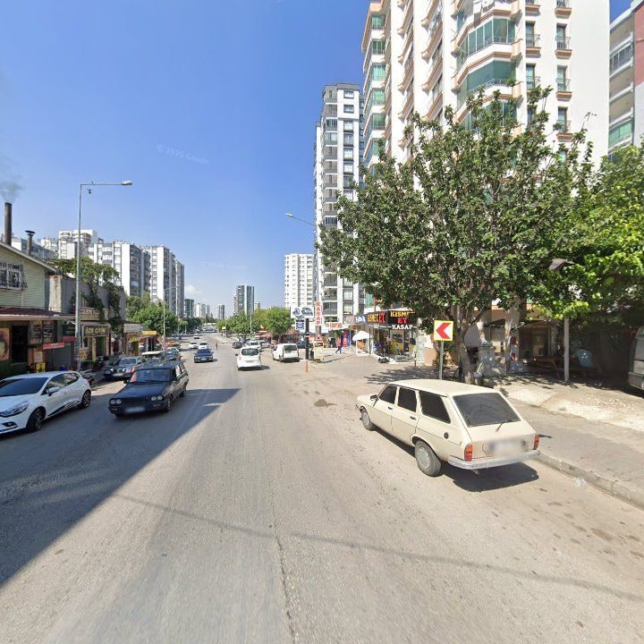 Fotoğraf 6